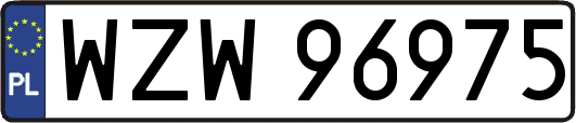 WZW96975