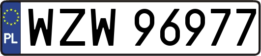 WZW96977