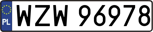 WZW96978