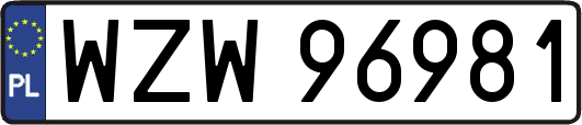 WZW96981