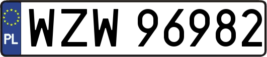 WZW96982