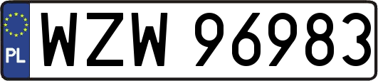 WZW96983