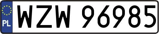WZW96985