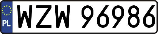 WZW96986