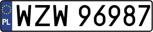 WZW96987