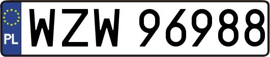WZW96988