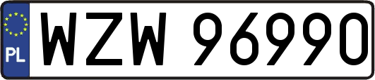 WZW96990