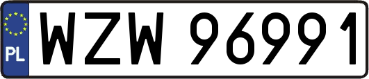 WZW96991
