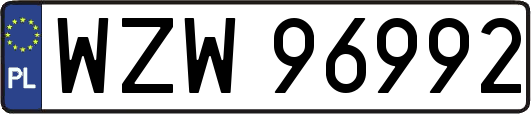 WZW96992