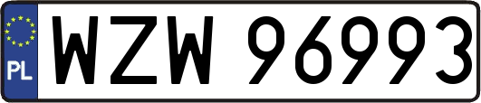 WZW96993