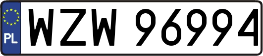 WZW96994