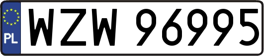 WZW96995