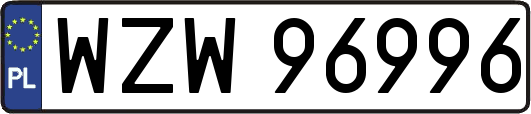 WZW96996