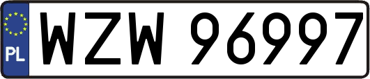 WZW96997