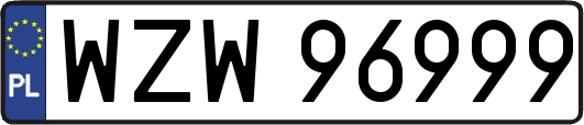 WZW96999