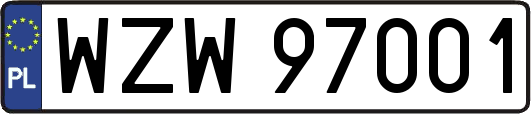 WZW97001