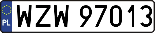 WZW97013