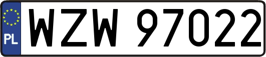 WZW97022