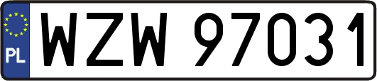WZW97031