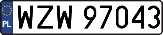 WZW97043