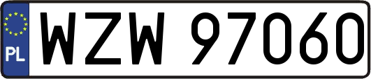 WZW97060