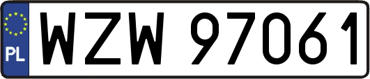 WZW97061