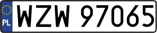 WZW97065