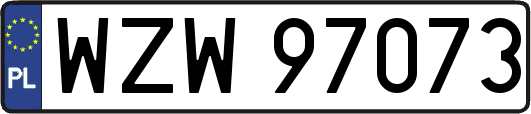 WZW97073