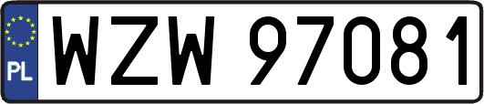 WZW97081