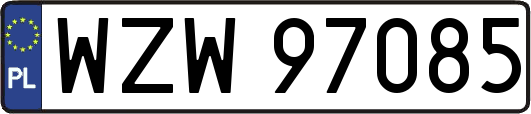 WZW97085