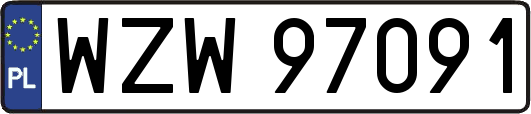 WZW97091