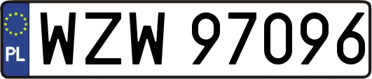 WZW97096