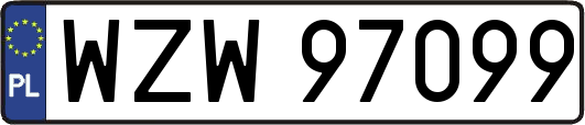 WZW97099