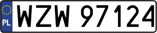 WZW97124