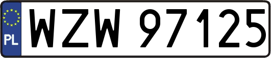 WZW97125