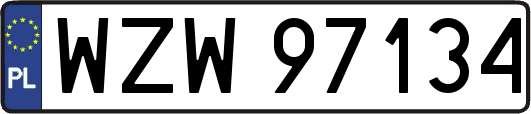WZW97134