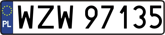 WZW97135