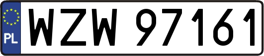 WZW97161