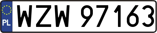 WZW97163