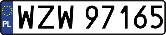 WZW97165