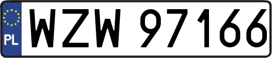 WZW97166