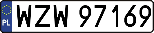 WZW97169