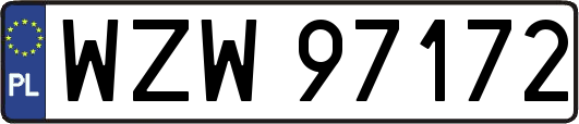 WZW97172