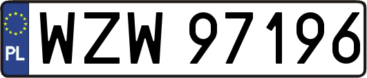 WZW97196