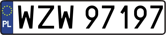 WZW97197