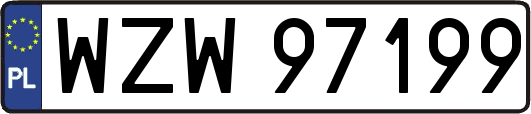 WZW97199