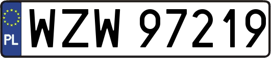 WZW97219