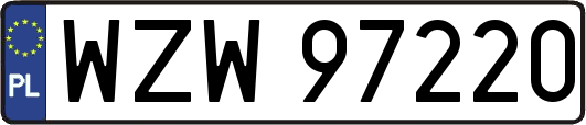 WZW97220