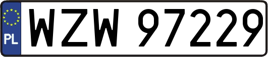 WZW97229