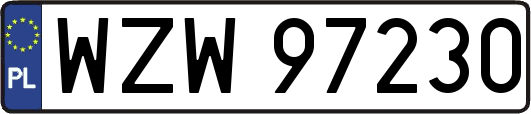 WZW97230